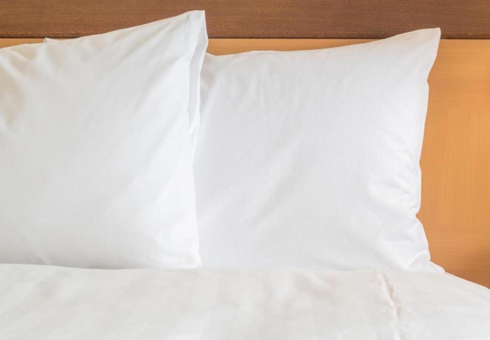 Holiday Inn Express Knoxville-Strawberry Plains By Ihg Экстерьер фото
